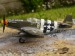 P-51B Mustang,3